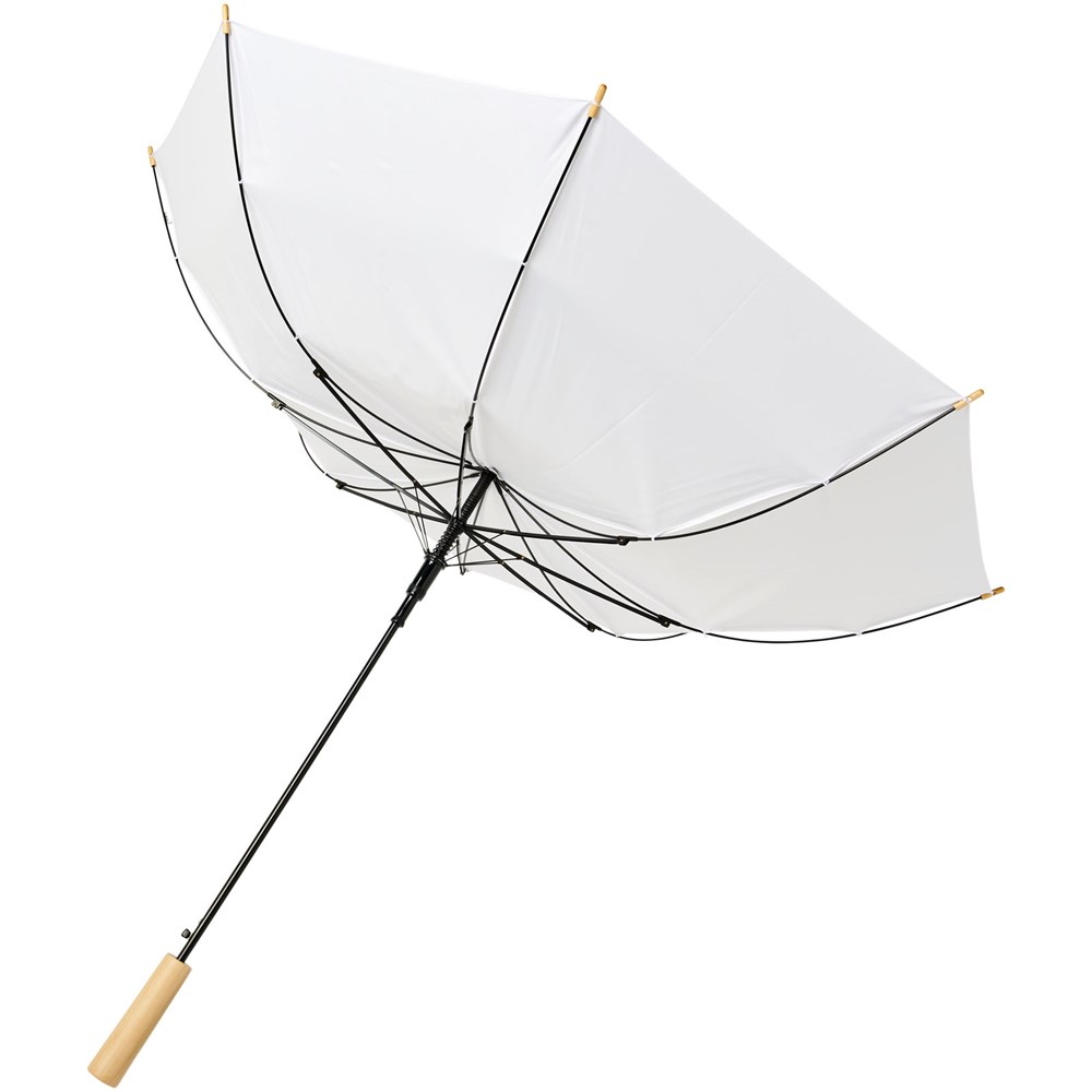 Parapluie 23