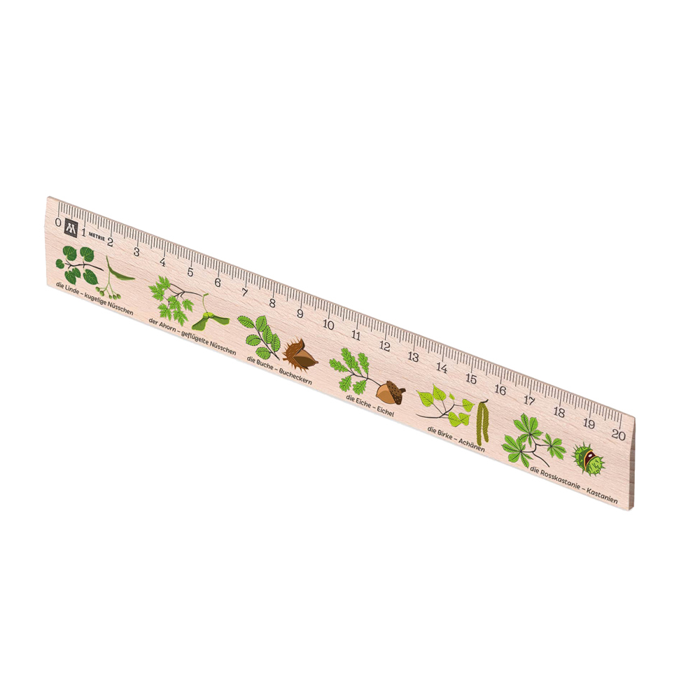 Holzlineal 30 cm Metrie Albert