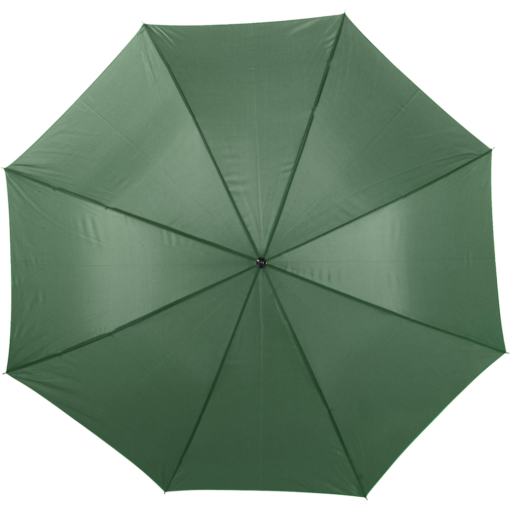 Parapluie automatique Vert