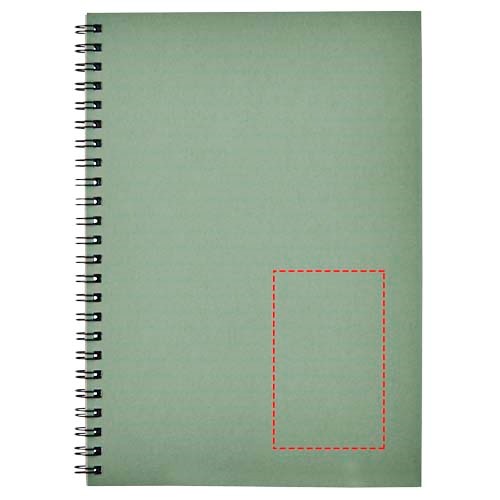 Carnet de notes spirales Desk-Mate® A5 coloré Vert bruyère