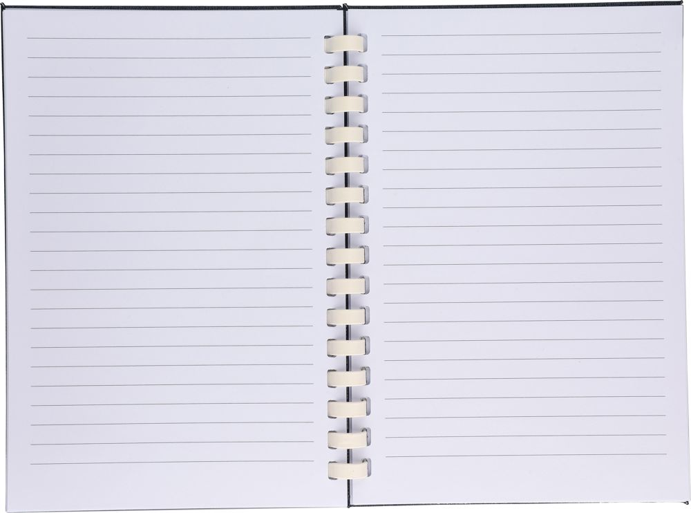 Notizbuch Ilias | PET | A5 | Liniert