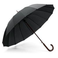 HEDI Parapluie à 16 baleines en pongee 190T avec ouverture automatique
