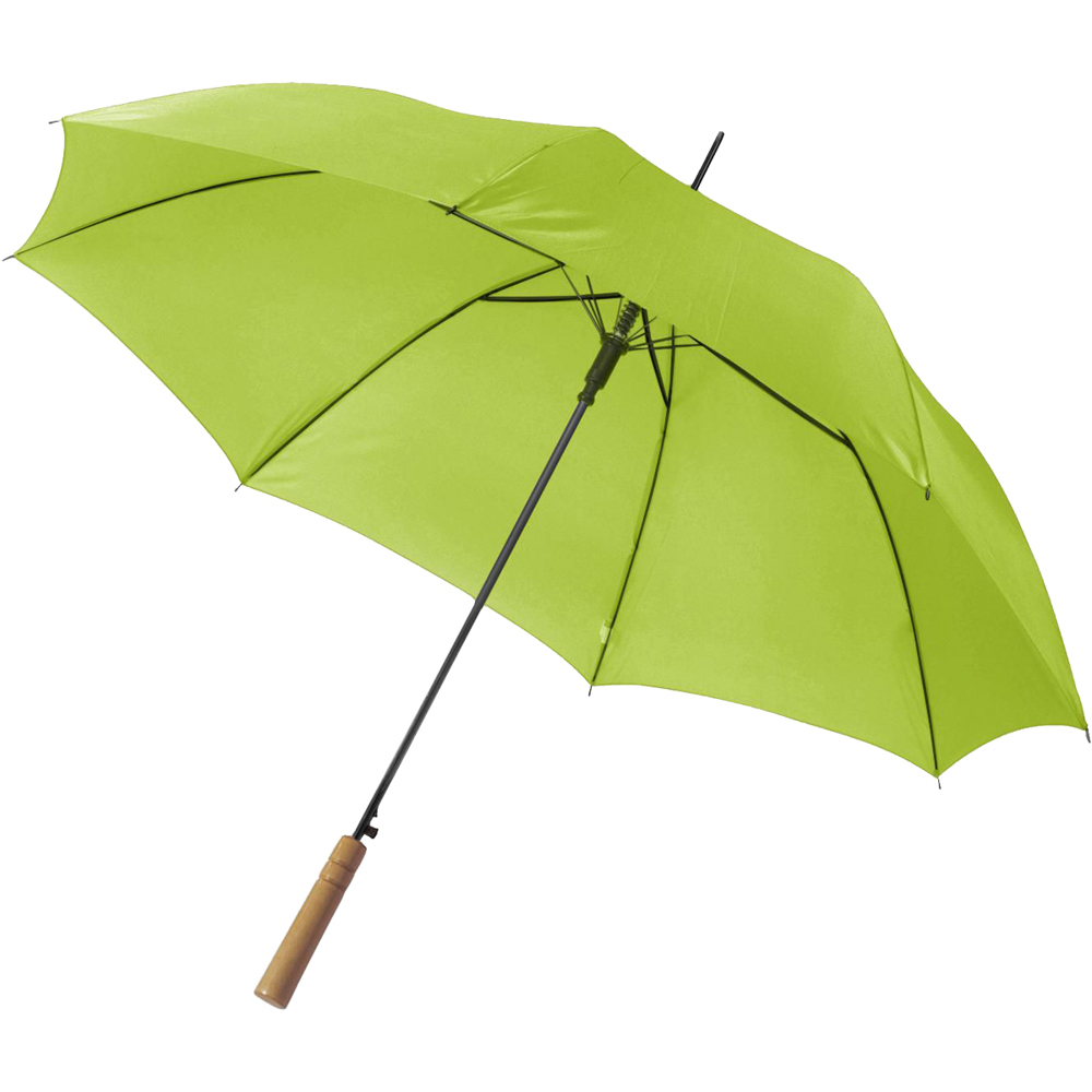 Parapluie automatique vert clair
