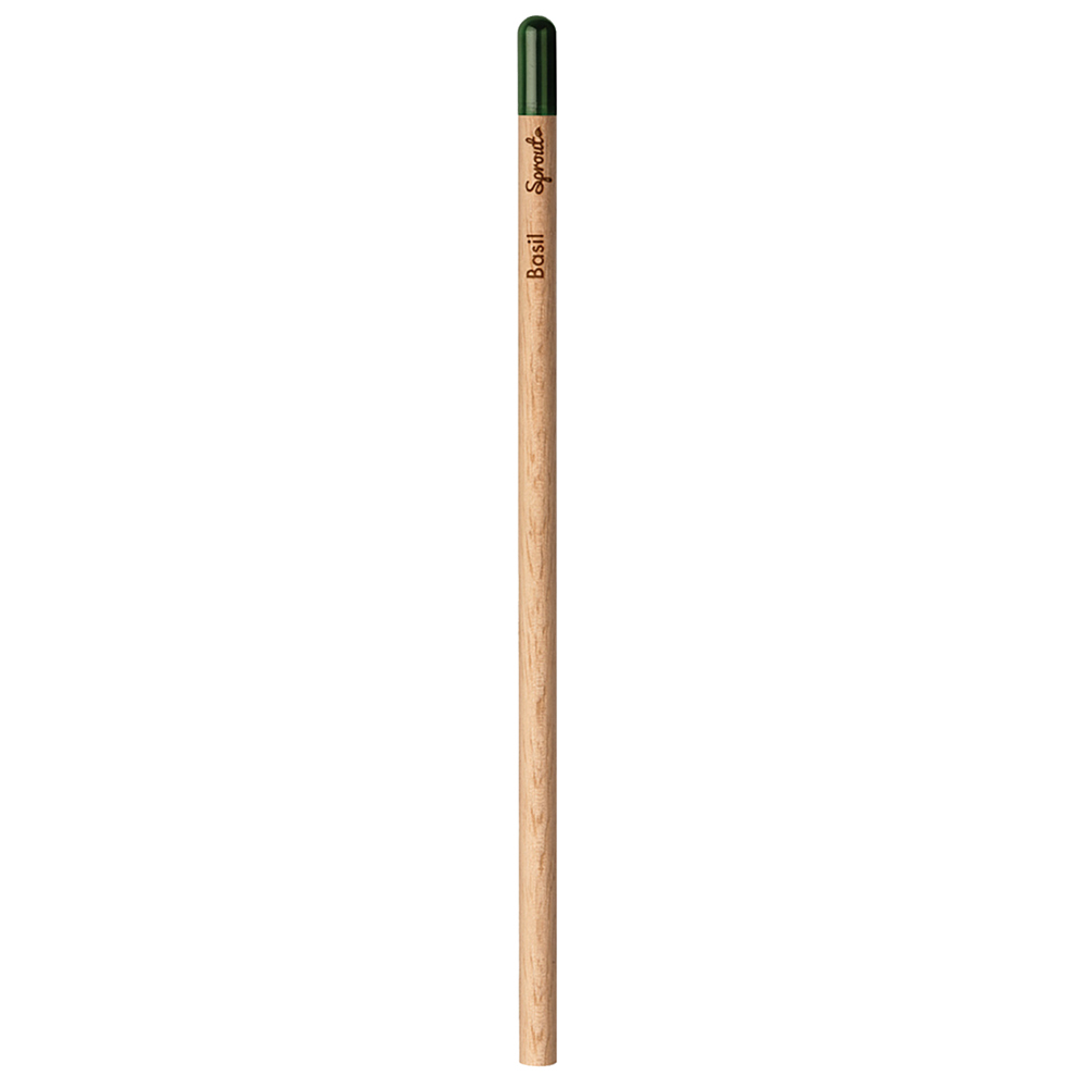 Crayon Sprout Rond Basilic