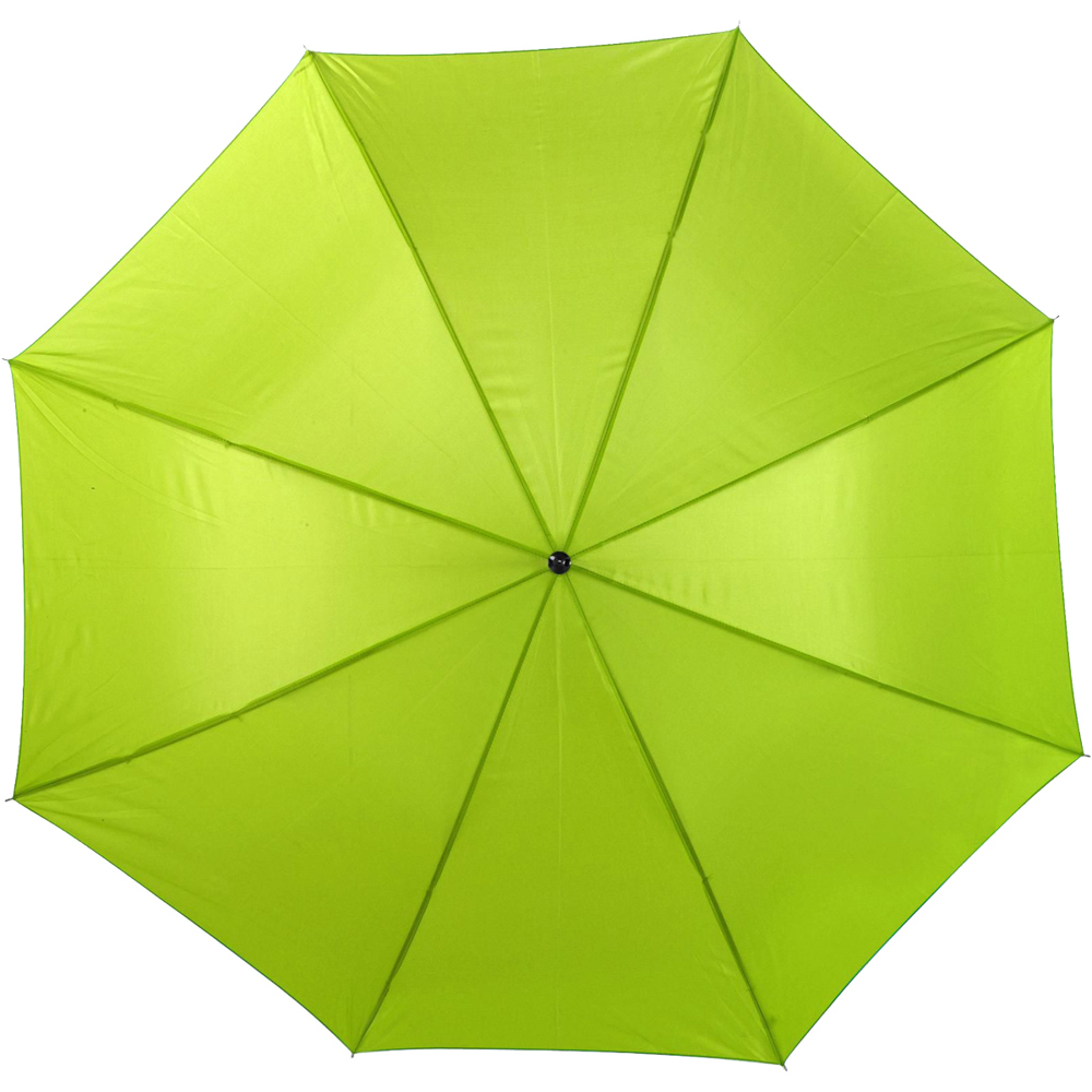 Parapluie automatique vert clair