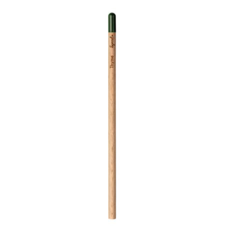 Bleistift Sprout Rund
