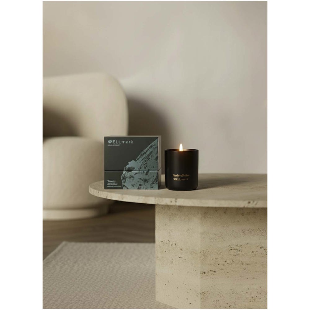 Bougie parfumée Wellmark noir