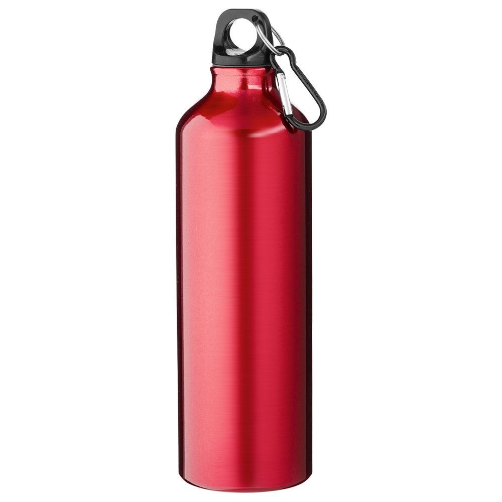 Trinkflasche 770 ml Karabiner