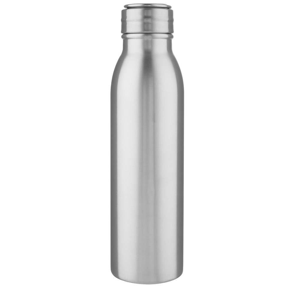 Bouteille de sport Harper 700 ml en acier inoxydable avec boucle métallique Argent