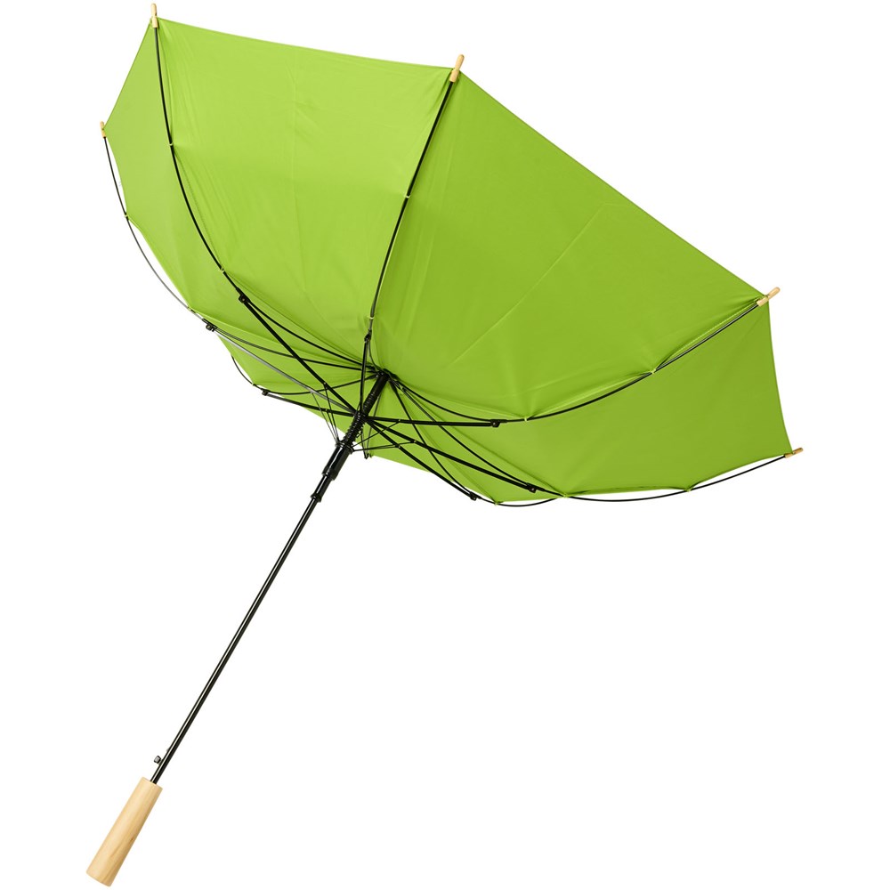 Parapluie 23