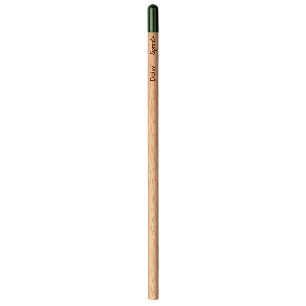 Bleistift Sprout Rund