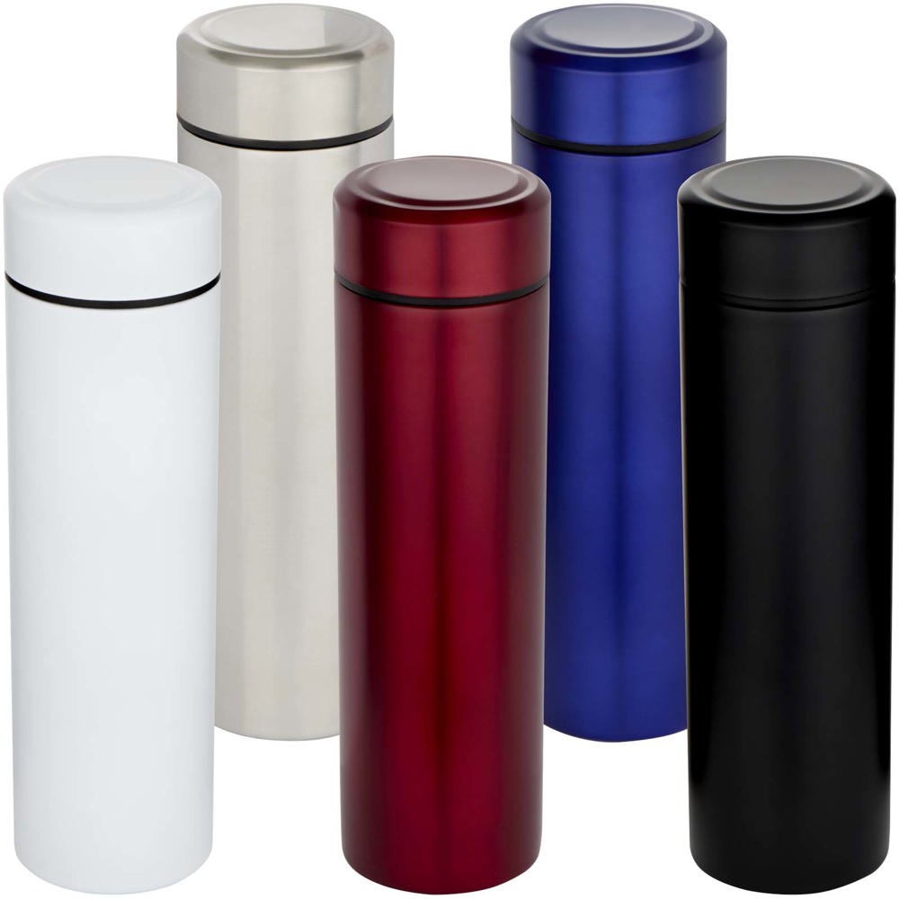 Gourde Taylor en acier inoxydable à double paroi de 450 ml avec filtre à thé Argent mat