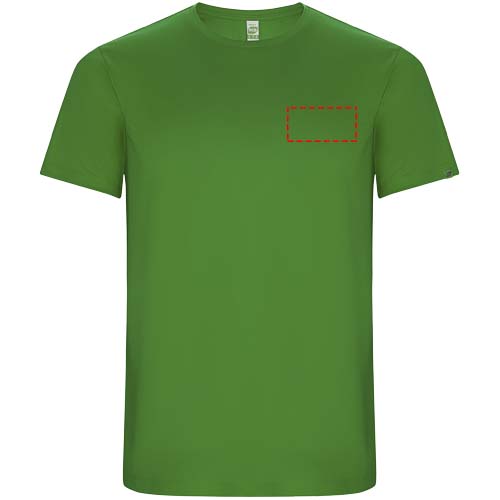 Imola Sport T-Shirt für Kinder farngrün