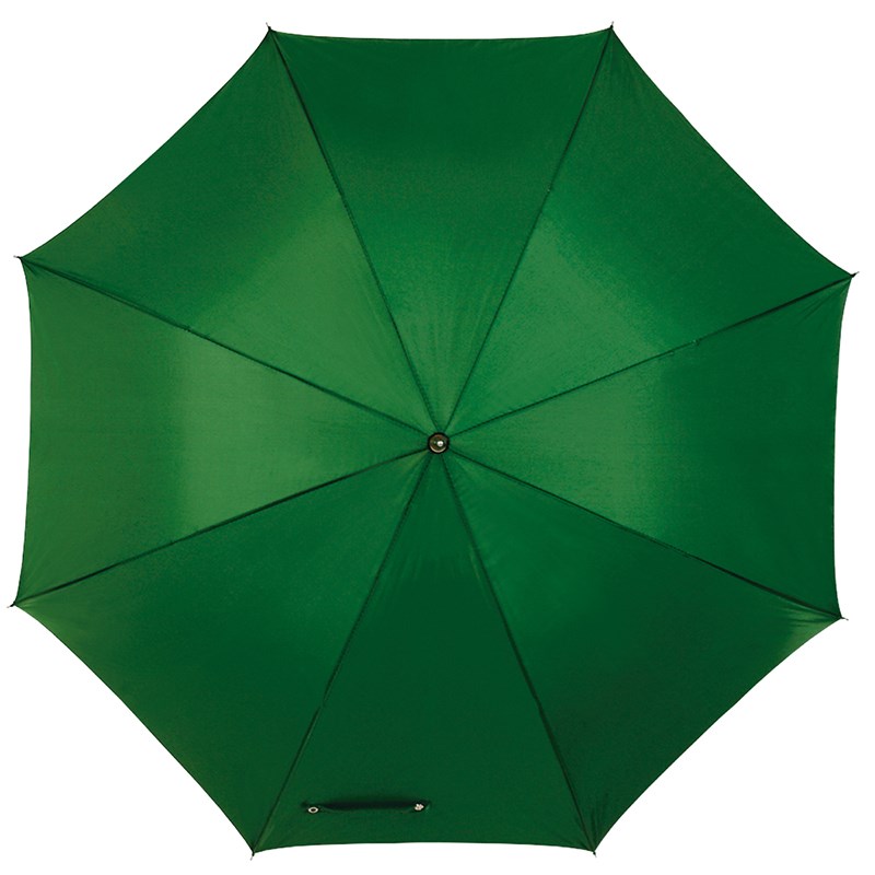 Parapluie automatique vert