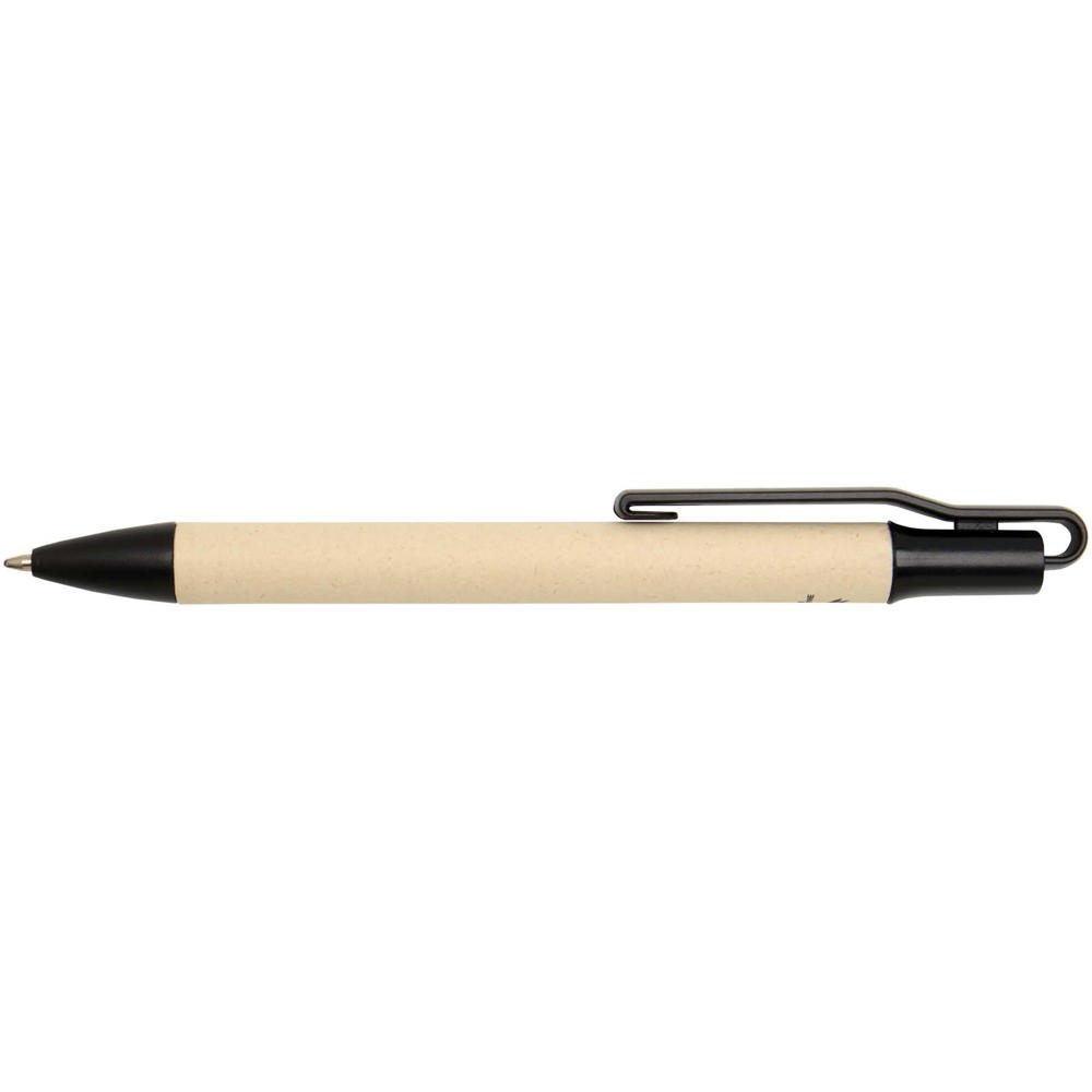 Stylo bille Liliana en papier de canne à sucre (encre bleue) Noir